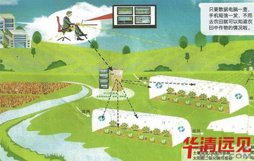 ʲô����(li��n)�W(w��ng)ƽ�_