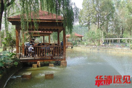 ������Ƭ����ʥ�l(xi��ng)���Ҳ˵�һ����-�ɶ��W(xu��)�T���(d��ng)